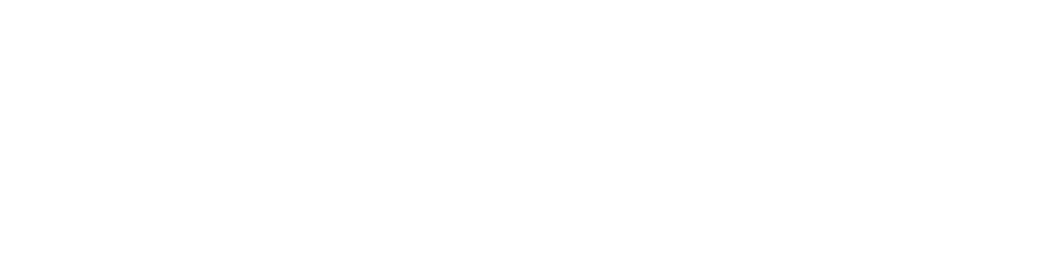 Mann Partners
